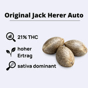 Original Jack Herer Autoflowering Samen