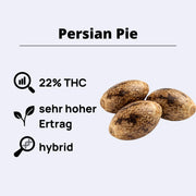 Persian Pie Feminisierte Samen