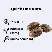 Quick One Autoflowering Samen