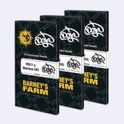 RS11 x Banana OG feminisierte Samen von Barneys Farm, 10 Stück Verpackung