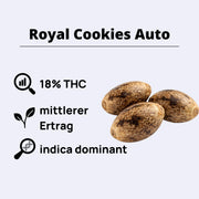 Royal Cookies Autoflowering Samen