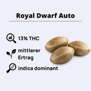 Royal Dwarf Autoflowering Samen