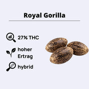 Royal Gorilla feminisierte Samen