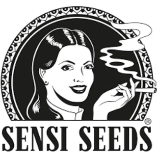 Sensi Seeds Logo B2B