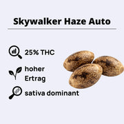 Skywalker Haze Autoflowering Samen