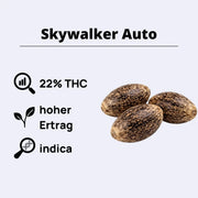 Skywalker Auto Autoflowering Samen mit 22% THC, hohem Ertrag und Indica-Anteil.