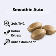Smoothie Autoflowering Samen