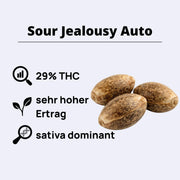 Sour Jealousy Autoflowering Samen