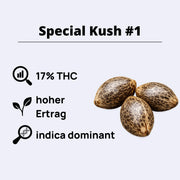 Special Kush #1 feminisierte Samen