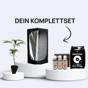 Starter Bundle mit Stecklingen, Mini-Zelt und Biobizz Düngerset für Indoor-Cannabis-Anbau.