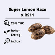 Super Lemon Haze x RS11 - 28% THC, hoher Ertrag, indica - feminisierte Samen von Green House Seeds