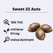 Sweet ZZ Autoflowering Samen