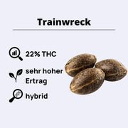 Trainwreck Feminisierte Samen