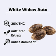White Widow Autoflowering Samen