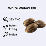 White Widow XXL Samen mit 25% THC, hoher Ertrag und Indica-Genetik von Barneys Farm.