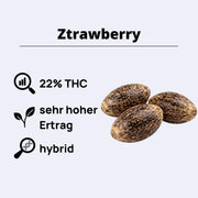 Ztrawberry Feminisierte Samen